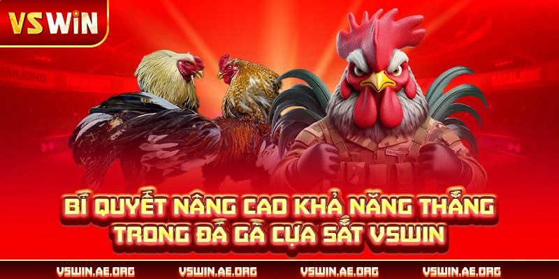 Bí quyết nâng cao khả năng thắng trong đá gà cựa sắt VSWIN