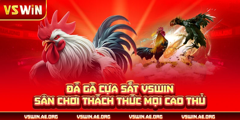 Đá Gà Cựa Sắt VSWIN - Sân Chơi Thách Thức Mọi Cao Thủ